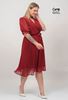 Picture of CURVY GIRL CHIFFON ELEGANT  DRESS